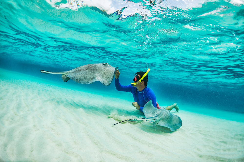 Snorkel person swimming with stingrays